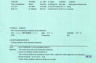 力学麻豆视频免费版证书报告说明页图片