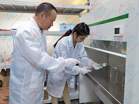 化学麻豆最新网址图片