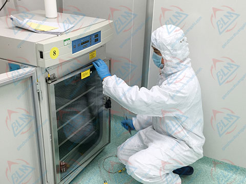 化学麻豆最新网址图片